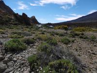 Nationalpark Teide - Teneriffa