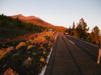 Nationalpark Teide - Teneriffa