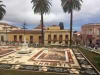 120 La Orotava