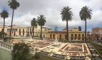 121 La Orotava
