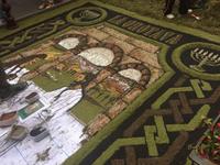 131 La Orotava (2)