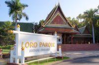 39 Besuch des Loro Parks