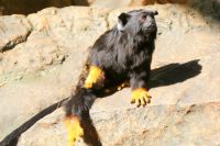 56 in den Farbtopf gefallen