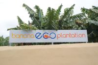 116 Bio Bananenplantage