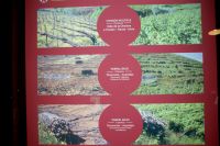 132 Verschiedene Anbauarten