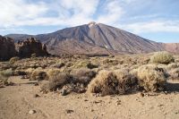 173 Teide Nationalpark