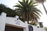 188  Icod de los Vinos