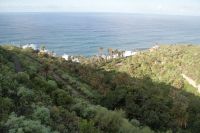 199 Westküste Teneriffa