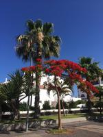 301 Las Americas