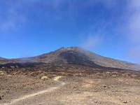 315 Pico Viejo