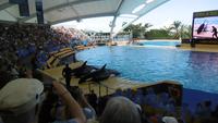 Loro Park Teneriffa