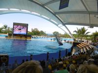 Loro Park Teneriffa