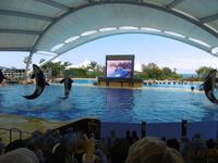 Loro Park Teneriffa