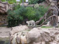 Loro Park Teneriffa
