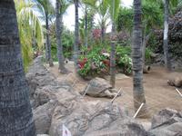Loro Park Teneriffa