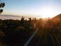 Nationalpark Teide - Teneriffa