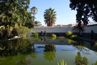 Botanische Garten - Puerto de la Cruz - Silvester auf Teneriffa