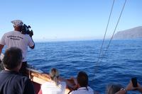 Los Gigantes - Silvester auf Teneriffa