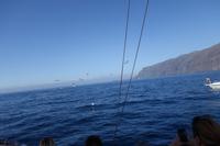 Los Gigantes - Silvester auf Teneriffa