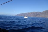 Los Gigantes - Silvester auf Teneriffa