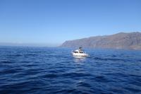 Los Gigantes - Silvester auf Teneriffa