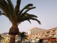 Playa de La Arena - Teneriffa