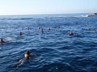 Masca - Silvester auf Teneriffa