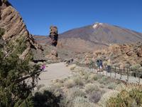 Nationalpark Canadas del Teide mit Vulka Teide in Teneriffa (9)