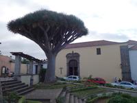 Stadtrundgang durch La Orotava (8)