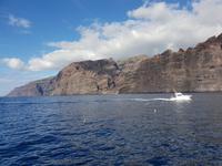 Bootsfahrt entlang der Steilküste von Los Gigantes (3)