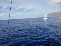 Bootsfahrt entlang der Steilküste von Los Gigantes (8)