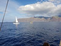 Bootsfahrt entlang der Steilküste von Los Gigantes (10)