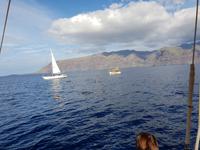 Bootsfahrt entlang der Steilküste von Los Gigantes (11)