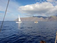 Bootsfahrt entlang der Steilküste von Los Gigantes (12)