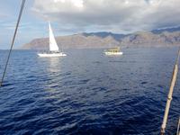 Bootsfahrt entlang der Steilküste von Los Gigantes (16)