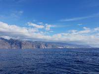 Bootsfahrt entlang der Steilküste von Los Gigantes (17)