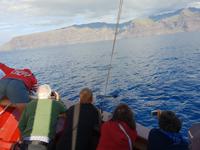 Bootsfahrt entlang der Steilküste von Los Gigantes (20)