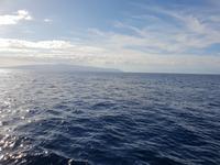 Bootsfahrt entlang der Steilküste von Los Gigantes (23)