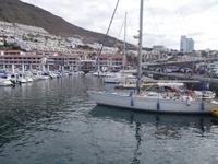 Yachthafen in Los Gigantes (6)