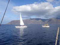 Bootsfahrt entlang der Steilküste von Los Gigantes (35)