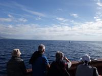 Bootsfahrt entlang der Steilküste von Los Gigantes (37)