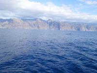 Bootsfahrt entlang der Steilküste von Los Gigantes (38)