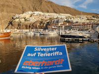 Bootsfahrt entlang der Steilküste von Los Gigantes (39)