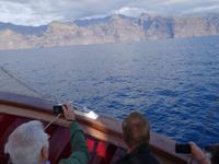 Bootsfahrt entlang der Steilküste von Los Gigantes (41)