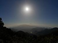 Blick auf La Orotava und Teide von Las Mercedes Wald (1)