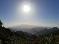 Blick auf La Orotava und Teide von Las Mercedes Wald (2)
