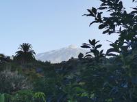 Der Teide