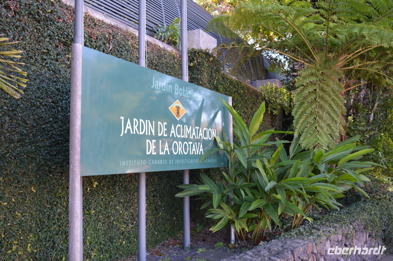 Teneriffa - Puerto de la Cruz - botanischer Garten (1)