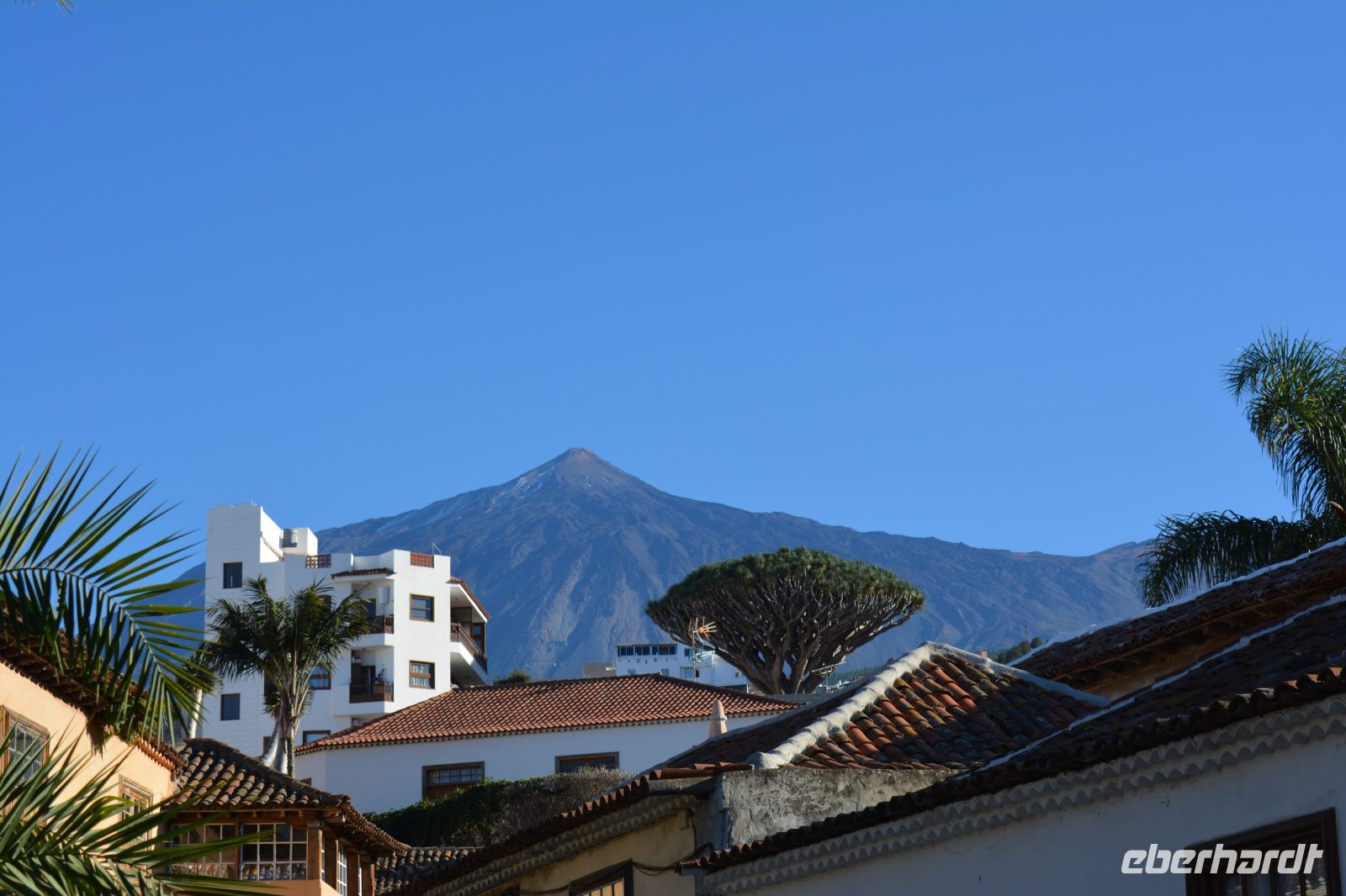 Teneriffa - Icod de los Vinos