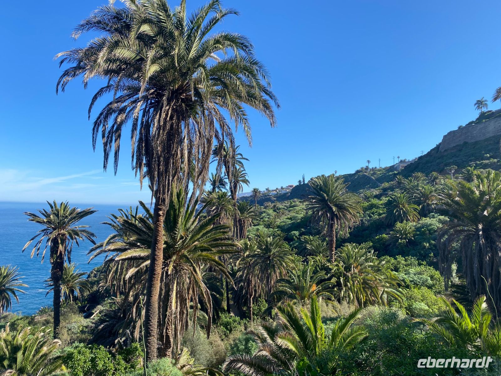 Teneriffa - Wanderung Rambla de Castro (1)